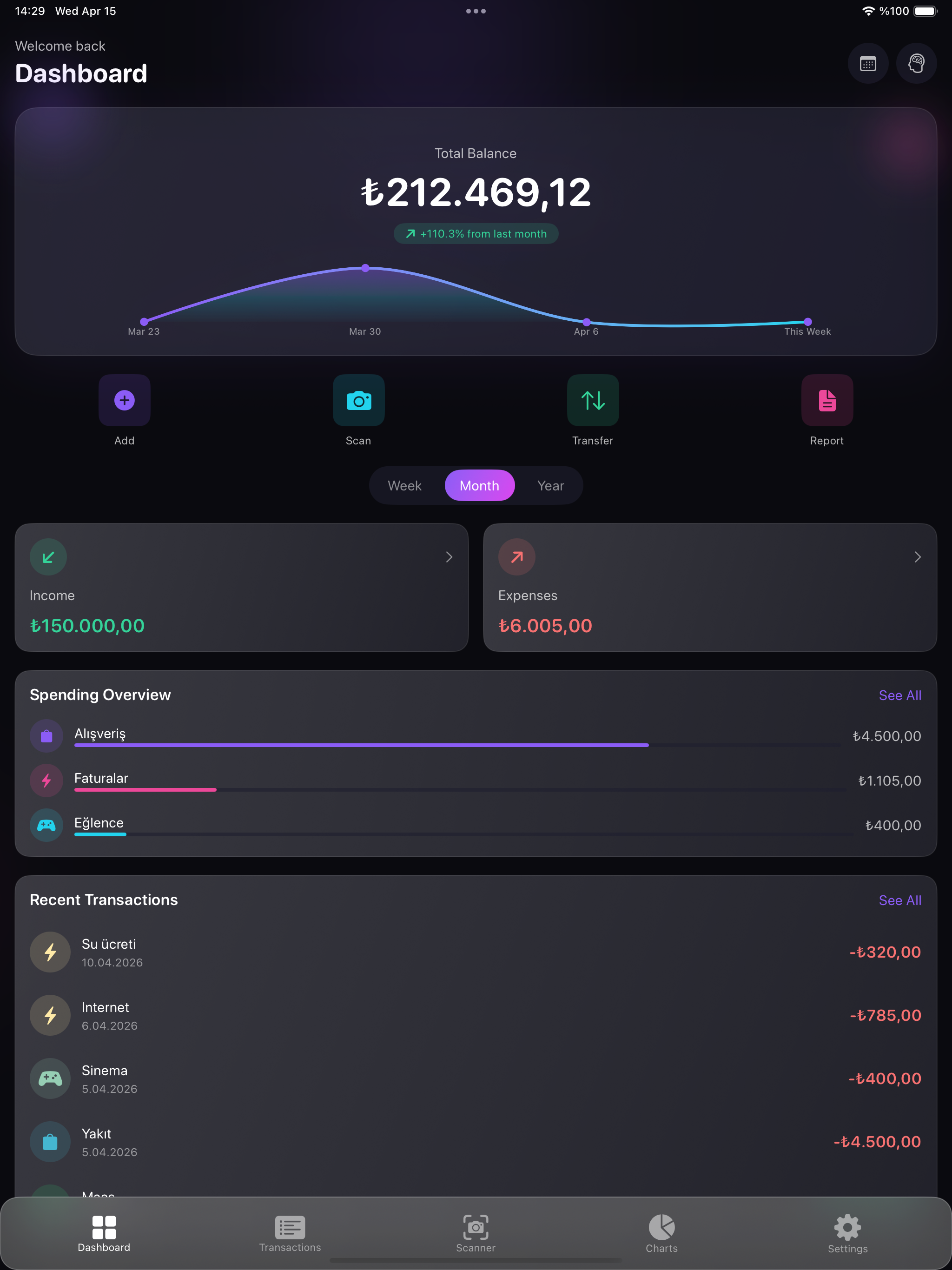 Finance Tracker iPad screenshot 1